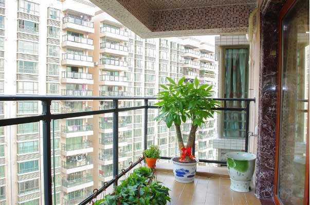 装修效果图（一）