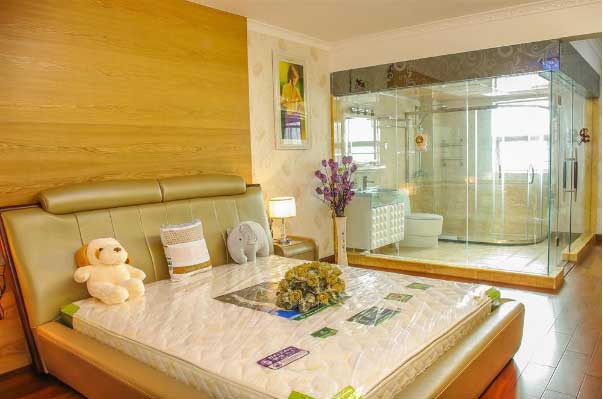 装修效果图（一）